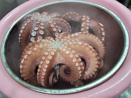 함계옥 사진 6