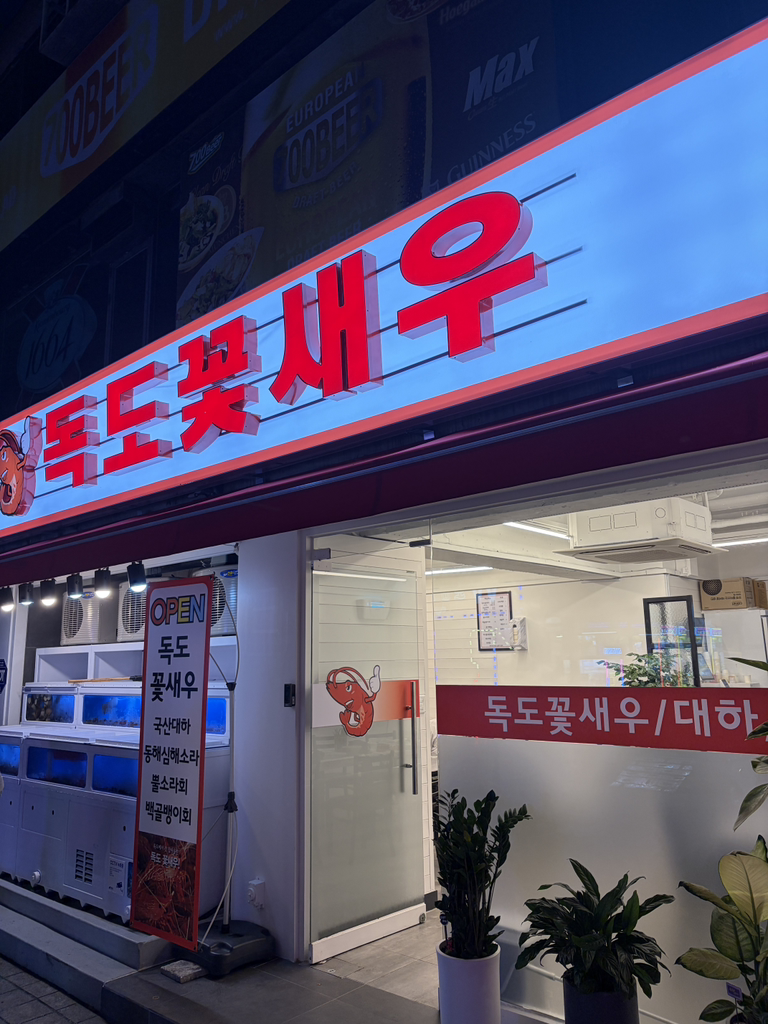 독도꽃새우 사진 2