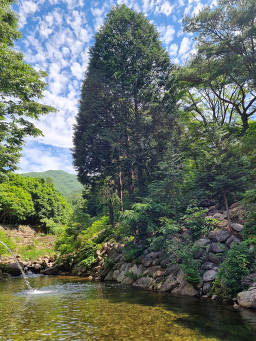 토야산장 대표 사진