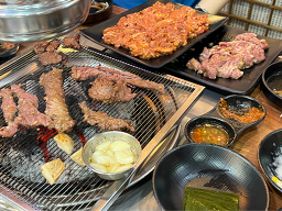 부산갈매기 대표 사진