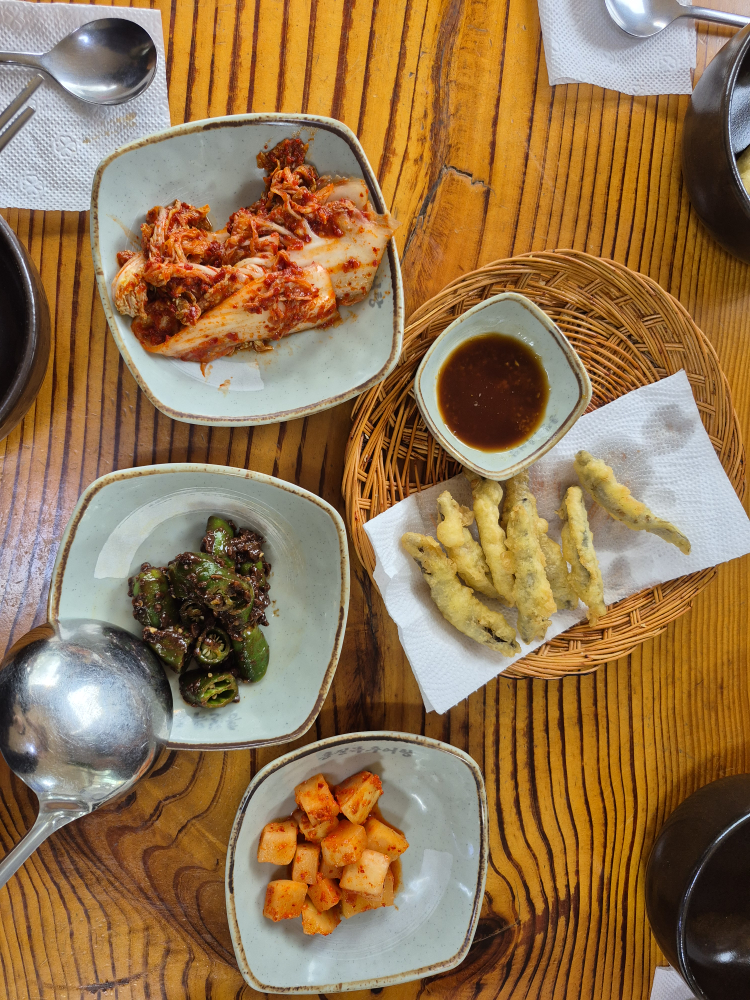 홍질목 대표 사진