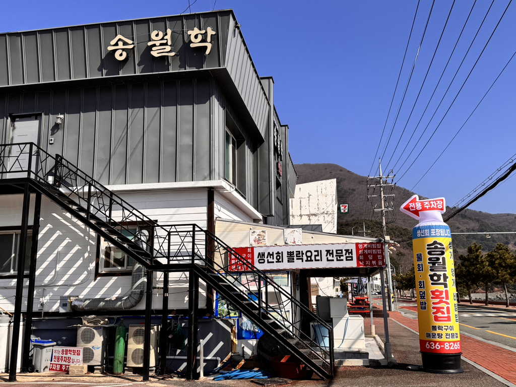 송월학횟집 사진 3