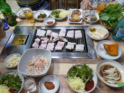 화산바다장어 사진 2