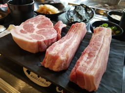 제주백돈 사진 5