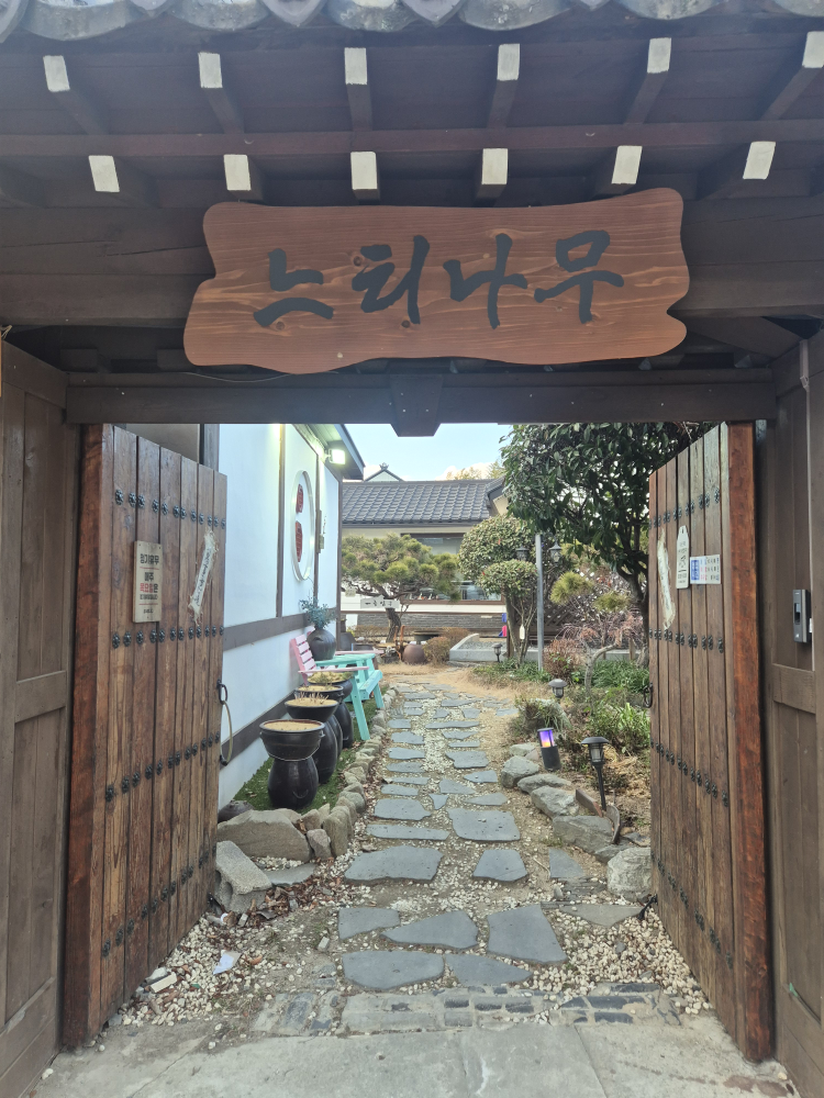 느티나무 사진 2