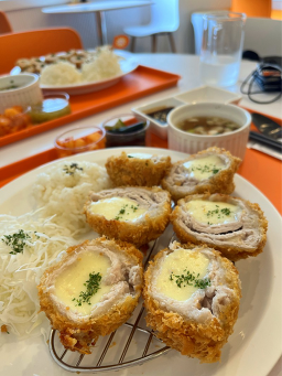 라라카츠 사진 8
