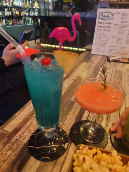 디지 사진 8