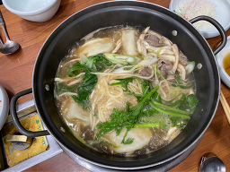 무궁화 사진 7