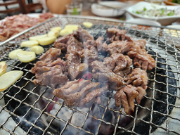 부산갈매기 사진 3