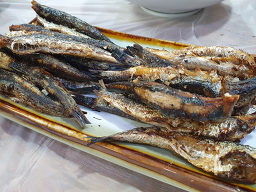 방파제횟집 사진 5