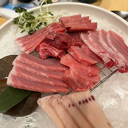 혼참치 대표 사진