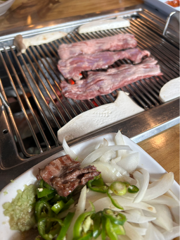 유명갈매기 사진 3