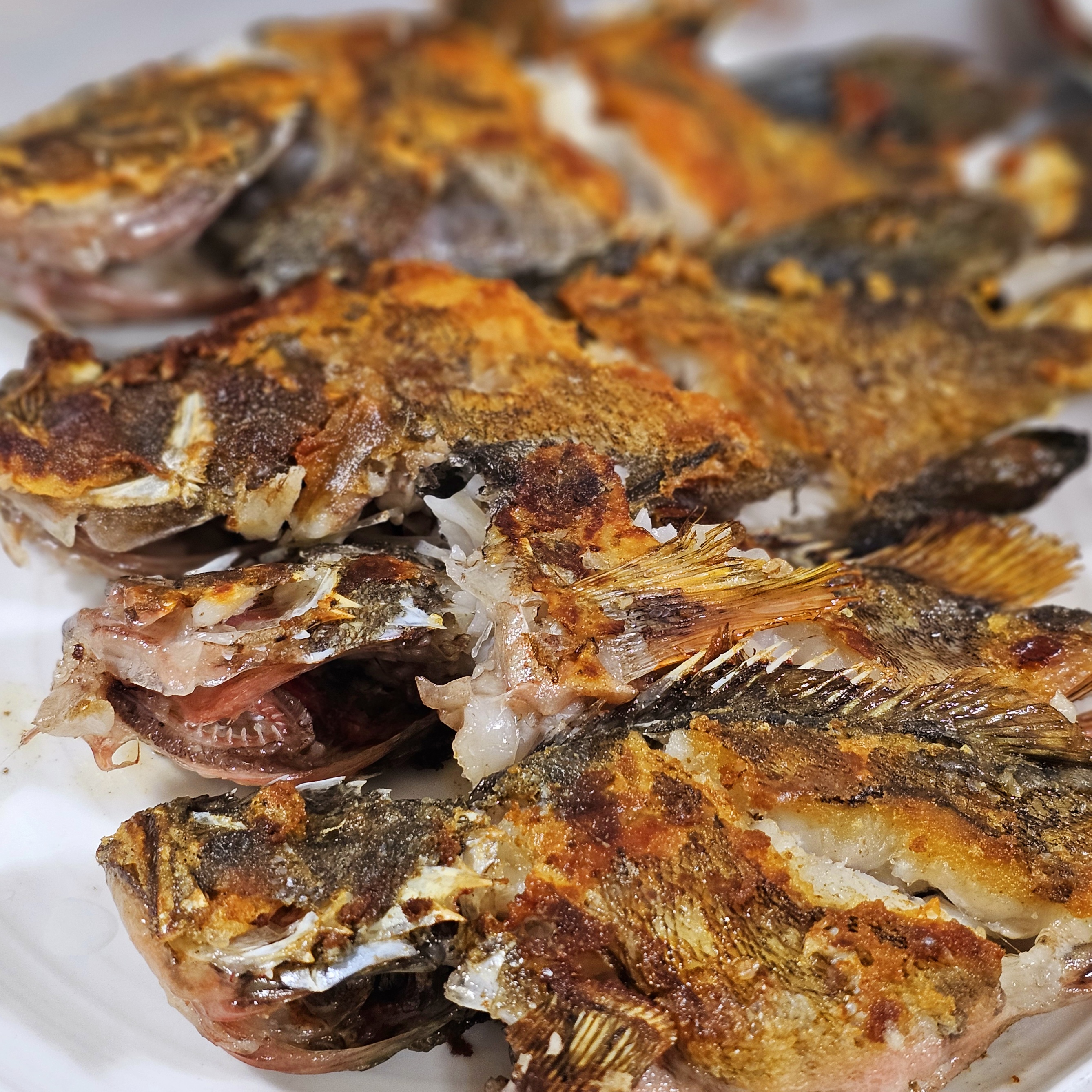성포회식당 사진 3