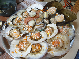 바닷속조개왕국 사진 6