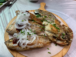 달아정해식당 사진 2