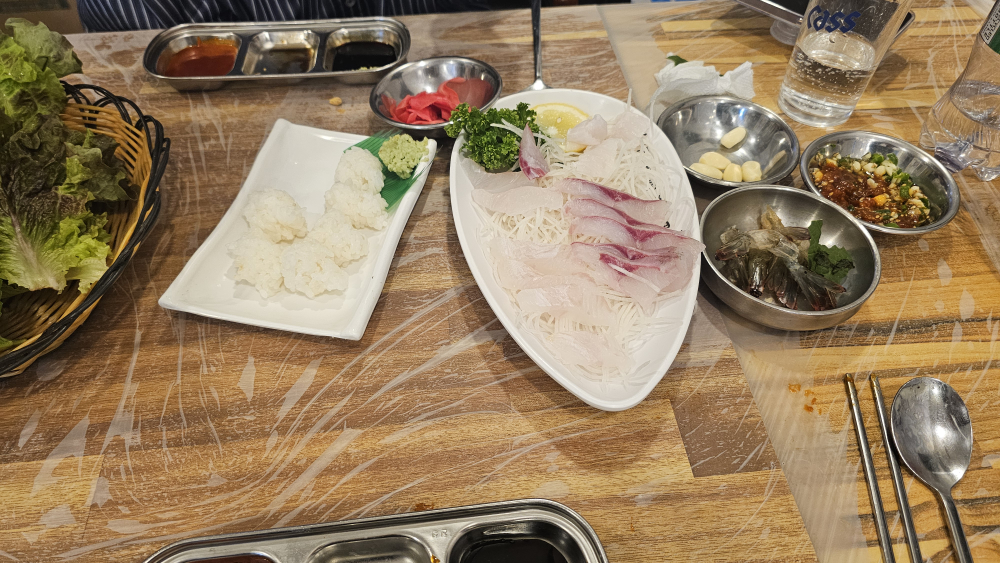 올빼미 대표 사진