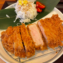 카돈 사진 5