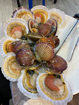 도희네 사진 6