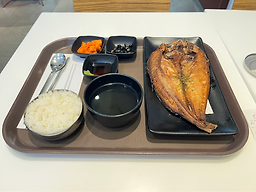 털보고된이 신세계백화점 의정부지점 대표 사진