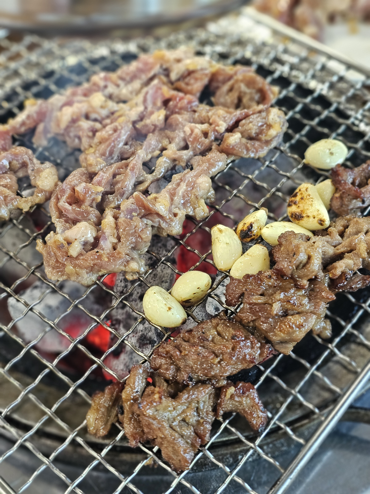 부산갈매기 대표 사진