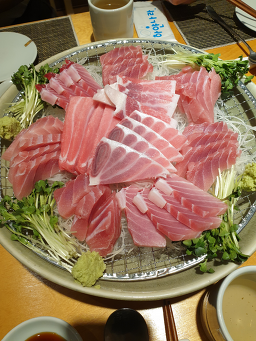 마구로혼 사진 7