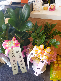 경남명품김밥 사진 2