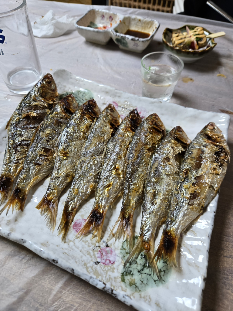 회통령 사진 6