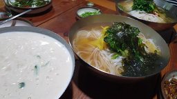 목향 사진 5