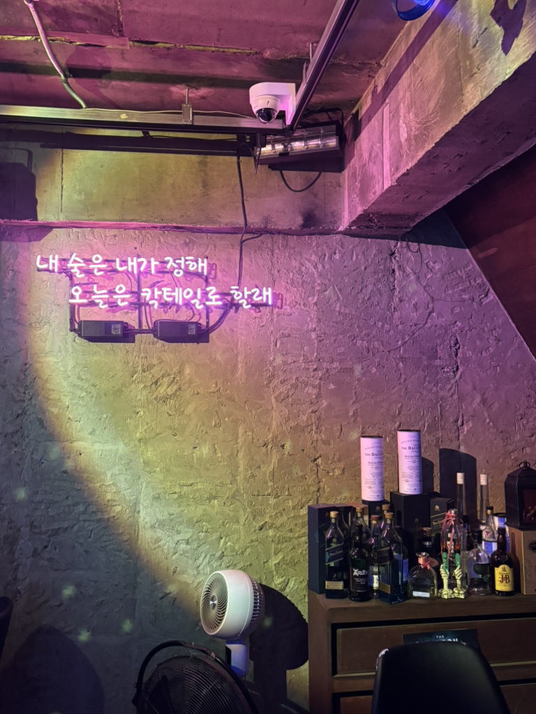 디지 대표 사진