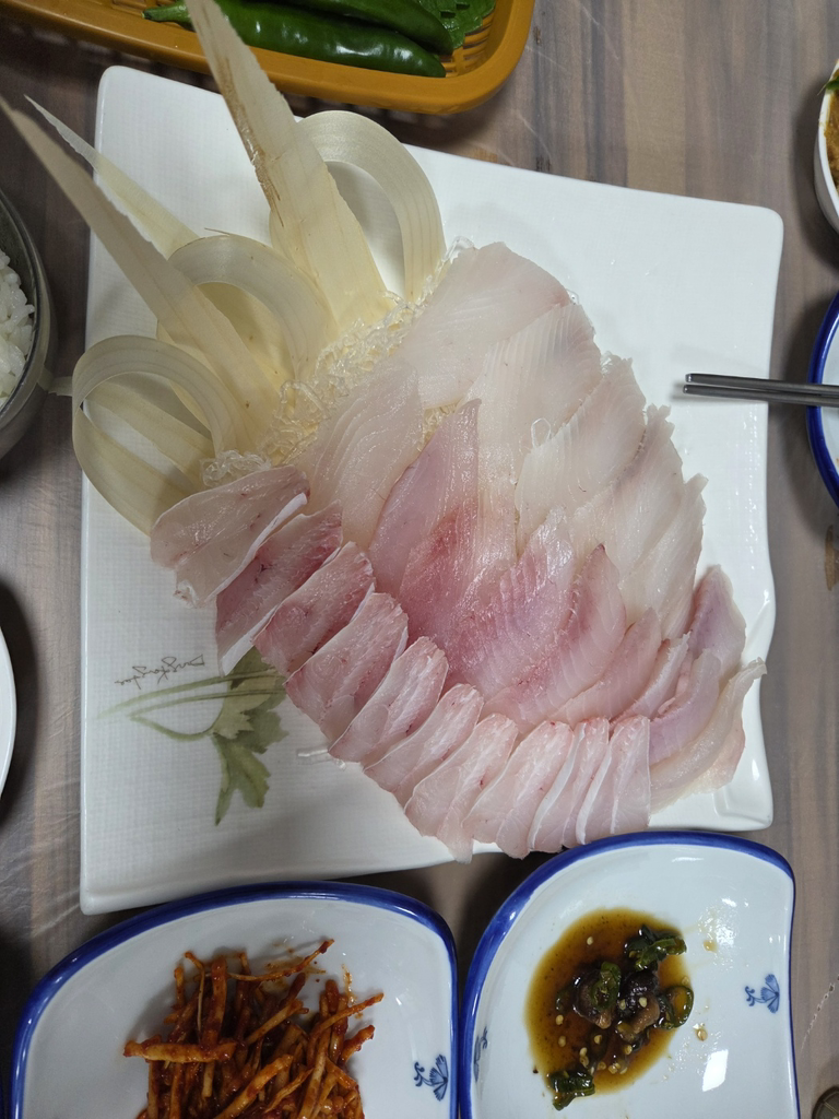 사랑새 사진 2