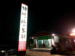 자연산오리 사진 5
