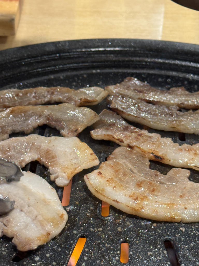 영남돼지 사진 3