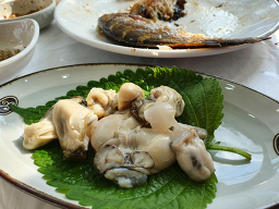한끄니 사진 5