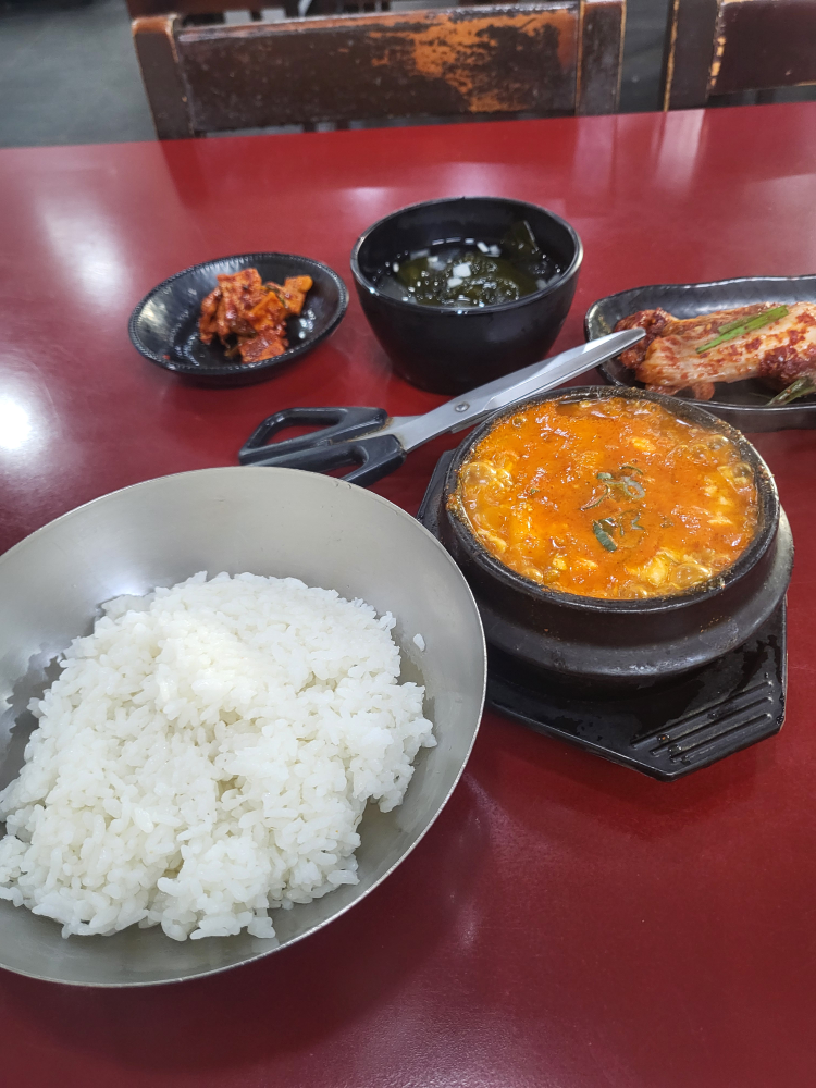 돌고래순두부 대표 사진