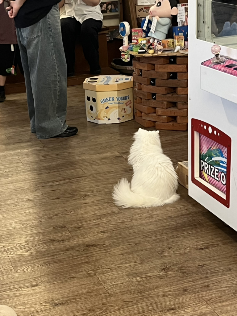 호노보노
