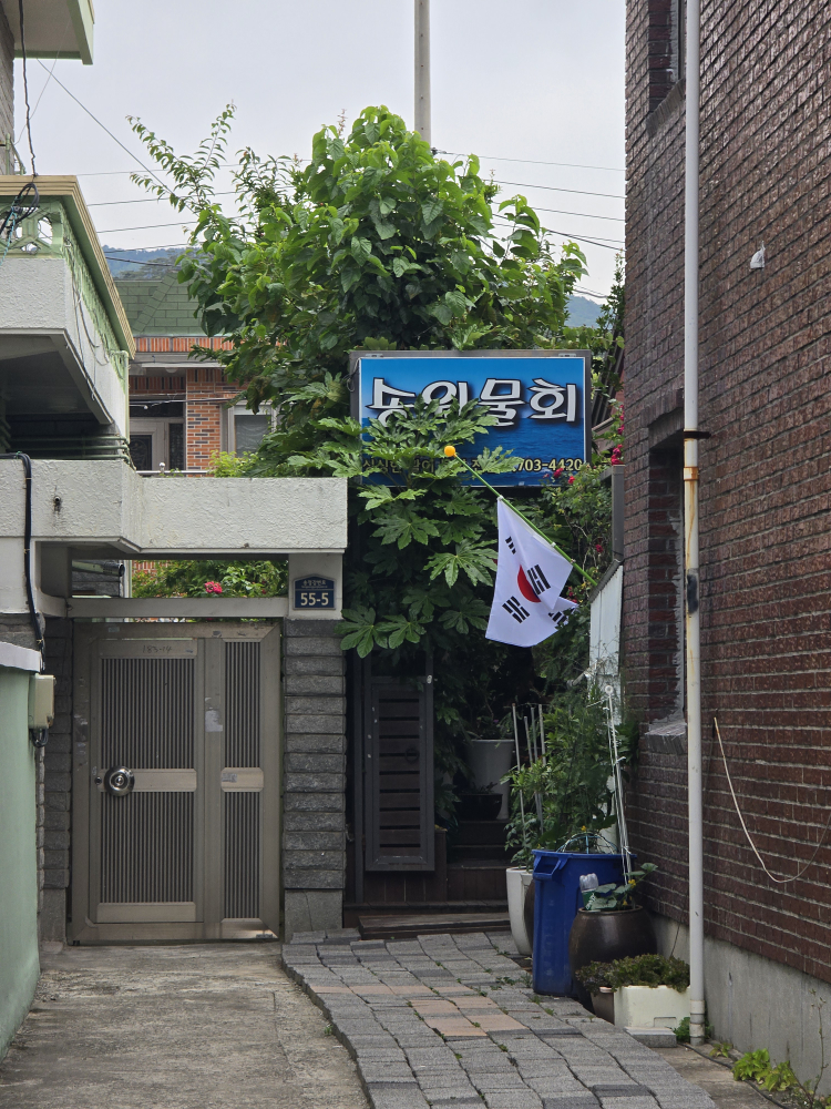 송원물회횟집 사진 4