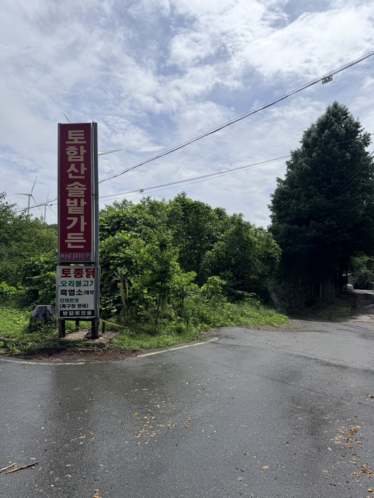 토함산솔밭가든 사진 4
