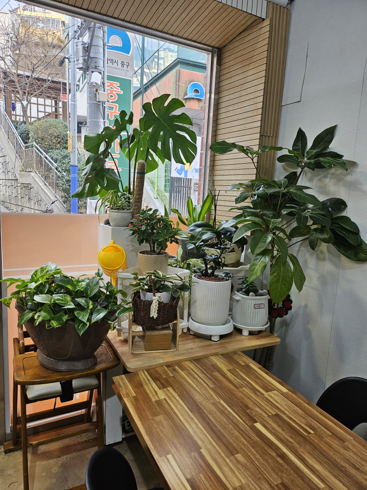 이모식당 사진 5