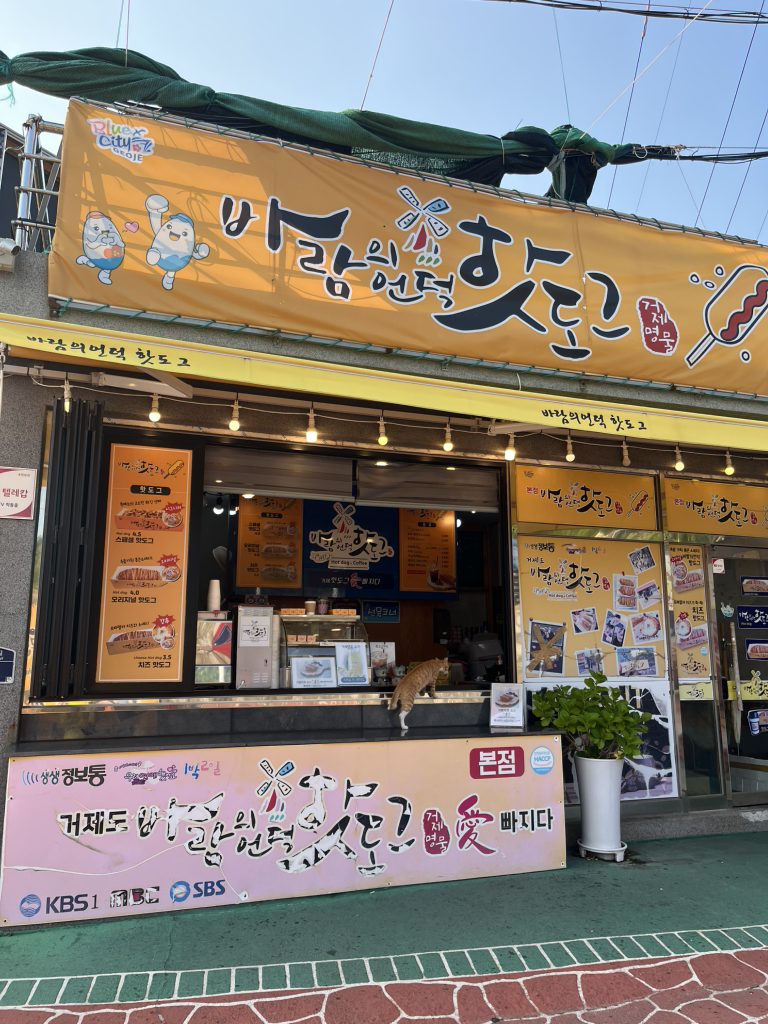 바람의언덕핫도그 본점 대표 사진