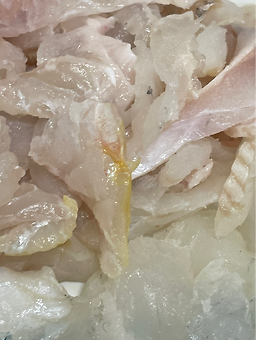 바다횟집 사진 3