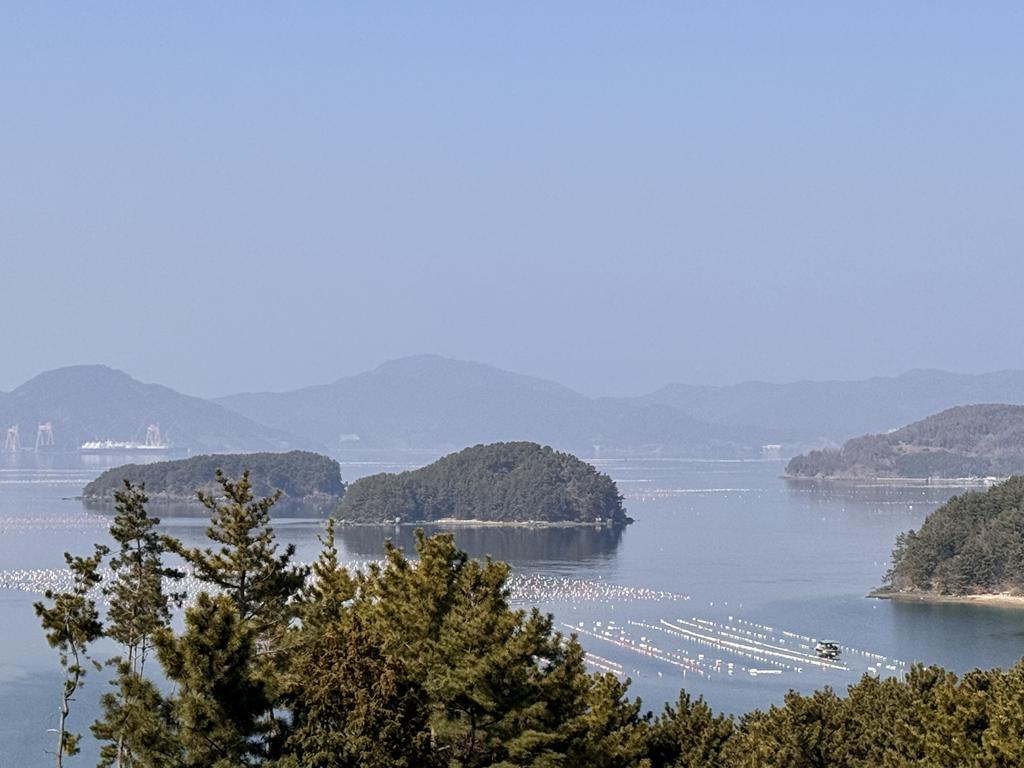 송월학횟집 사진 2