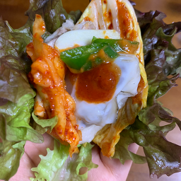 디딤돌 사진 2