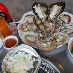 하진이네 사진 3