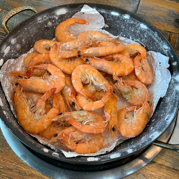 사천왕새우 사진 6