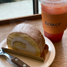 바우어베카 사진 7