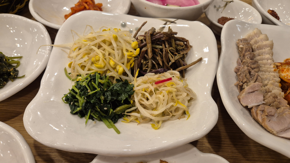 벽오동 사진 2