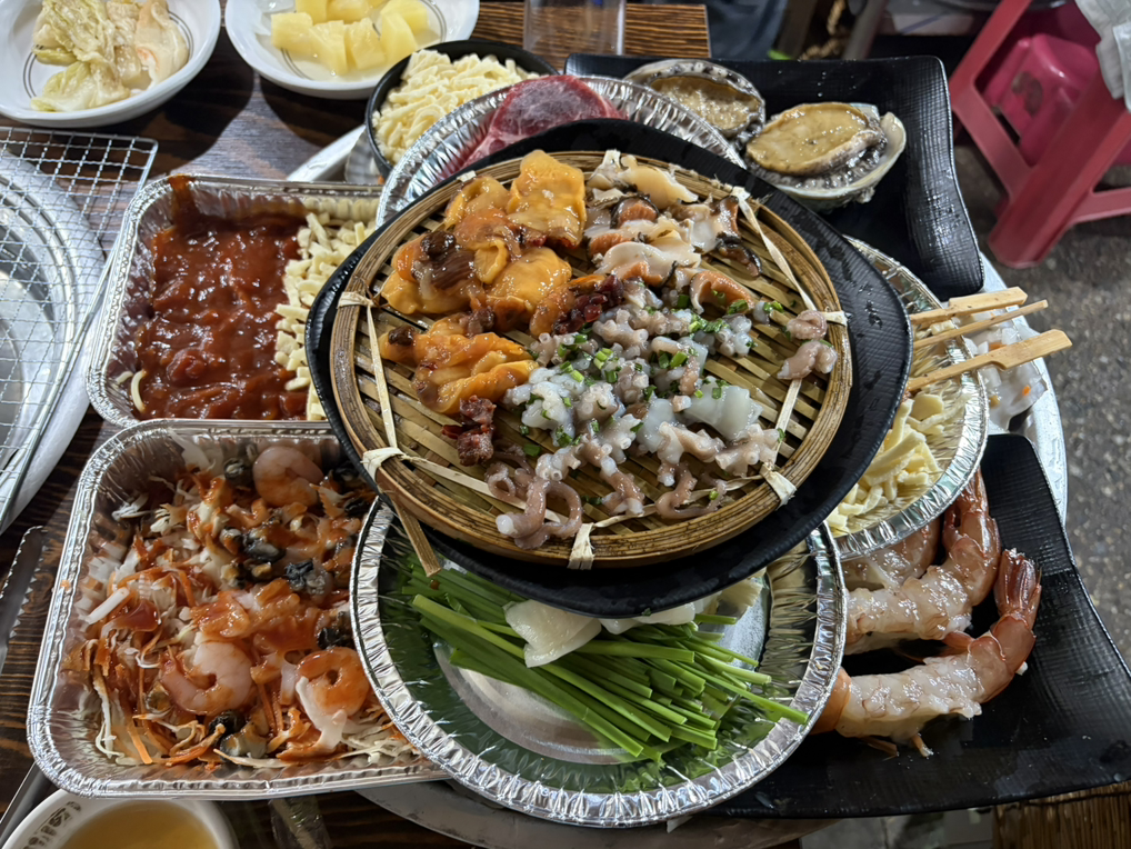 갈매기 사진 7