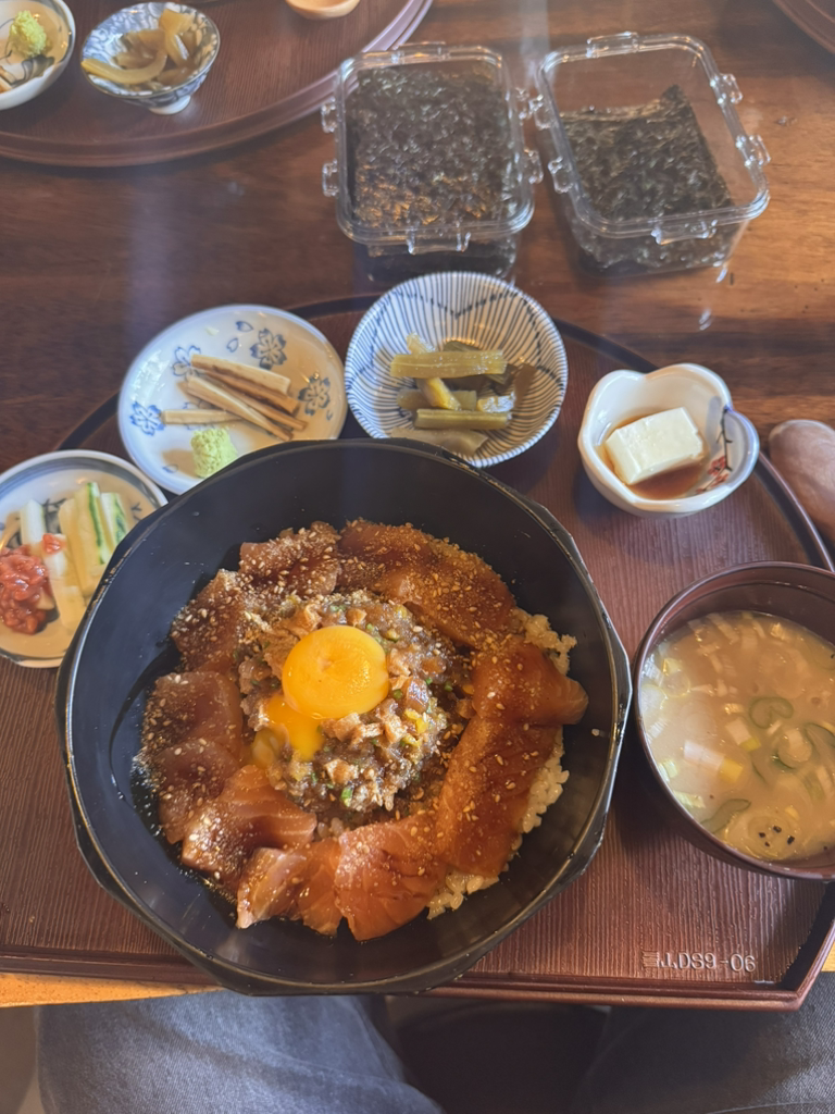하데나 사진 2