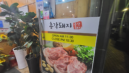 총각돼지 사진 6