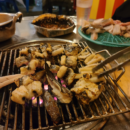노란마후라 사진 5